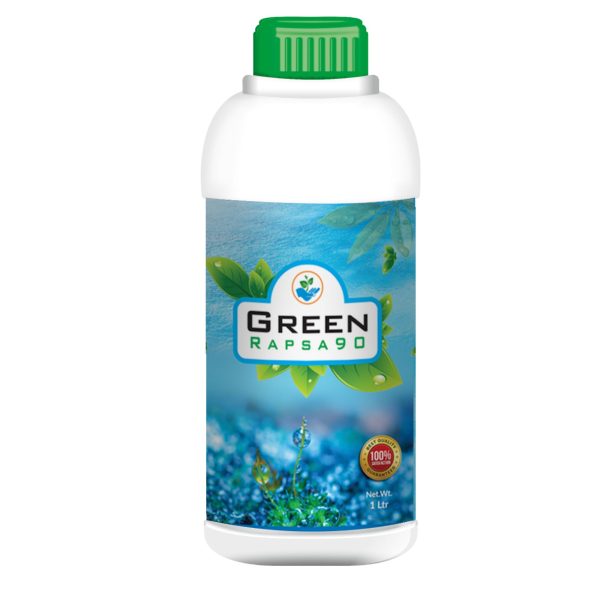 Green Rapsa 90